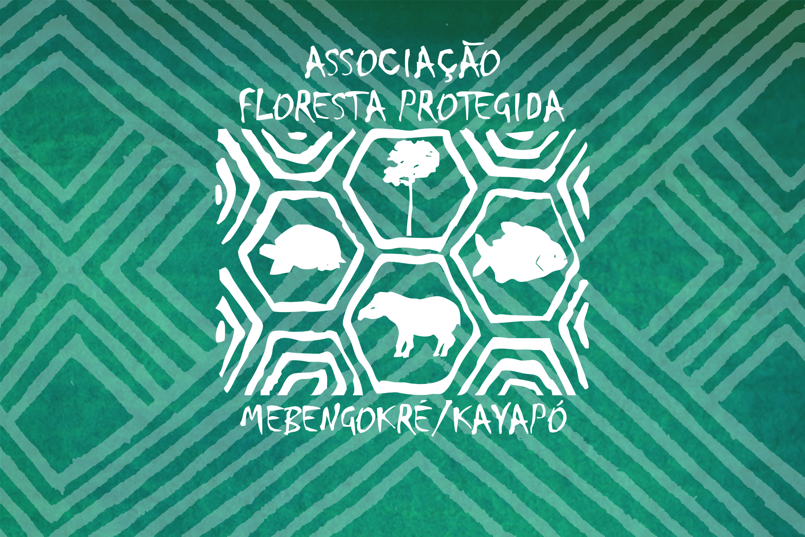 Termo de Referência AFP no 008/2024 Ref: Contratação de empresa especializada (pessoa jurídica) para serviço de construção de 2 (duas) Casas de Farinha, nas aldeias selecionadas pela AFP no âmbito do projeto “Território, Cultura e Autonomia Mẽbêngôkre”, apoiado pelo Fundo Amazônia.