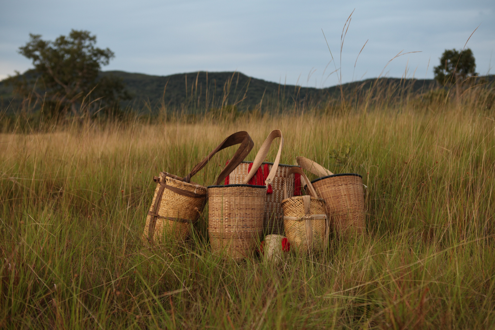 Cooperativa Kayapó de Produtos da Floresta - COOBÂ-Y