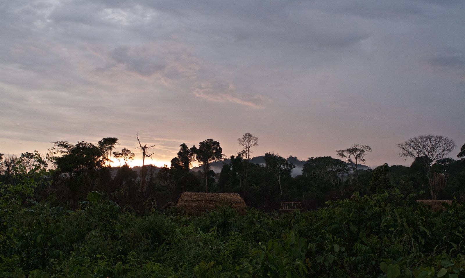 [LIRA] Contratação de profissional para o cargo de COORDENADOR GERAL para o projeto “Projeto Gestão Sustentável dos Territórios Kayapó-Panará no Sudeste da Amazônia”