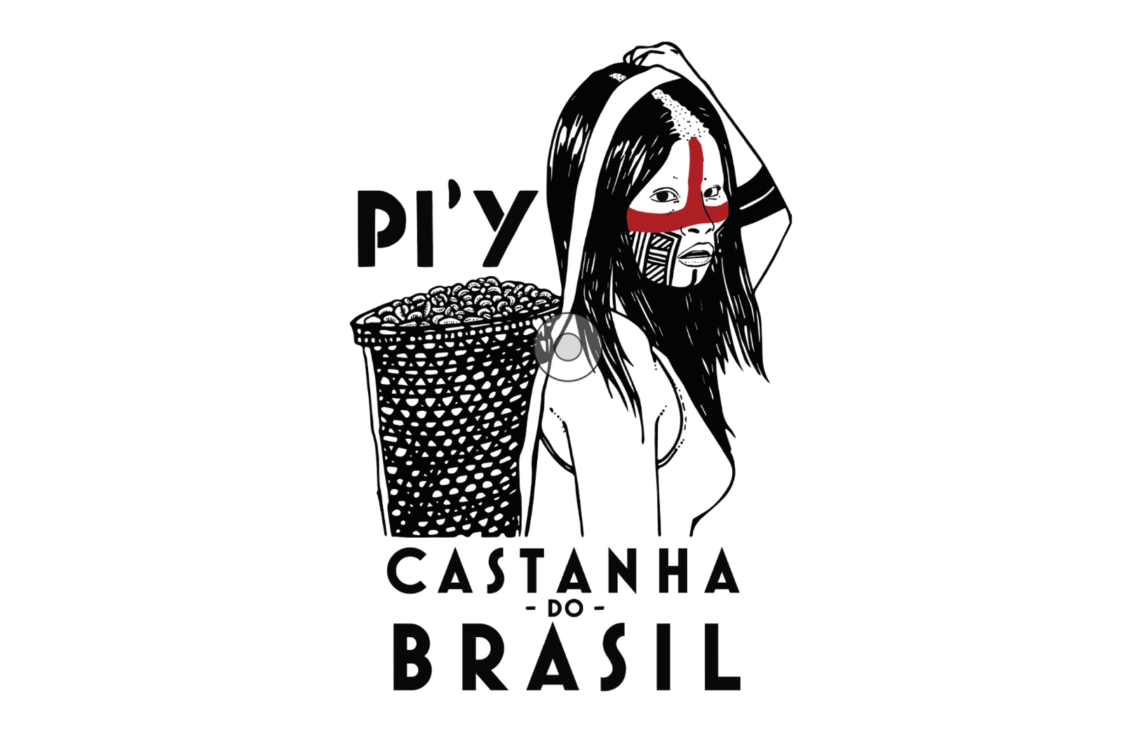 A Castanha Mẽbêngôkre-Kayapó - Pi-y
